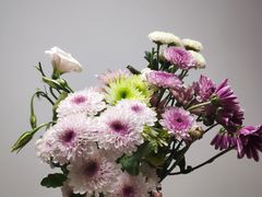 -秦美花卉(天朗·莱茵小城2期店)