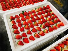 -西郊国际农产品交易中心