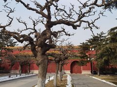 -北京市劳动人民文化宫(太庙)