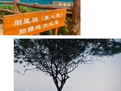 -杨梅坑
