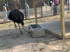 -长白岛森林公园