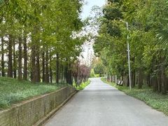 -上海长兴岛郊野公园