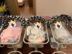 点击看大图 -和伊母婴护理中心·全套房(金山店)