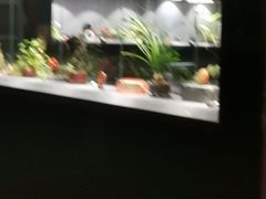 -爱家国际收藏品交流市场