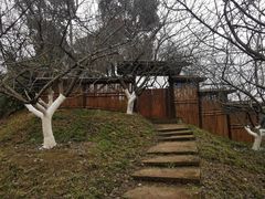 -秀丽东方