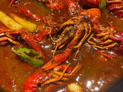 -唐力九头鸟烧烤·罗田吊锅(西云楼店)