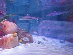 -沈阳海洋探索中心