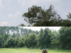 -樱桃山旅游景区