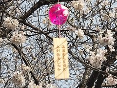 -堤角公园