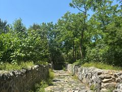 -阳台山自然风景区