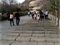 -府君山公园