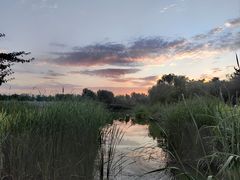 -西安浐灞国家湿地公园