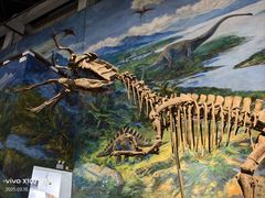 -自贡恐龙博物馆