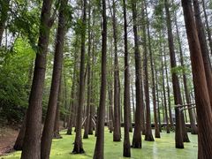 -云龙湖旅游景区
