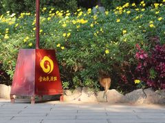 -云南民族村
