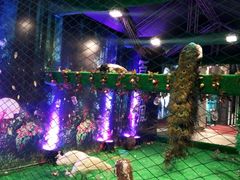 -大洋晶典(东街店)