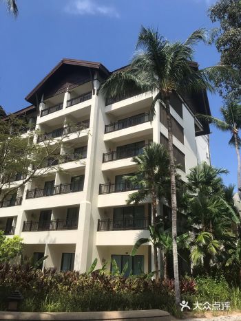 【博洋视线】 去红树林保护区游玩,导游安排下午茶~