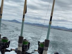 -小猫钓鱼海钓俱乐部(椰梦长廊店)