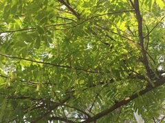 -白塘生态植物园