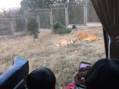 -西安秦岭野生动物园