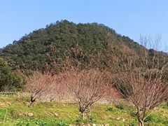 -广州市石门国家森林公园