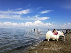 -青海湖国家重点风景名胜区