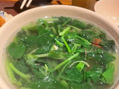 -Cục Gạch Quán