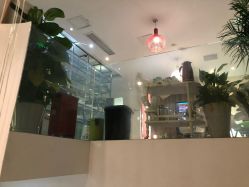 -比华利美容医院