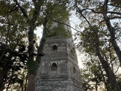 -江心屿景区