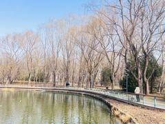 -将府公园