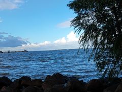 -上海吴淞炮台湾国家湿地公园