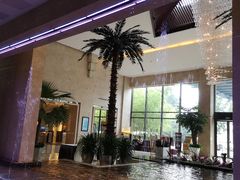 -常州环球恐龙城维景国际大酒店