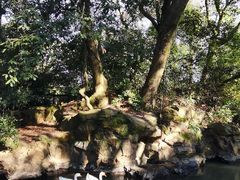 -兰亭风景区