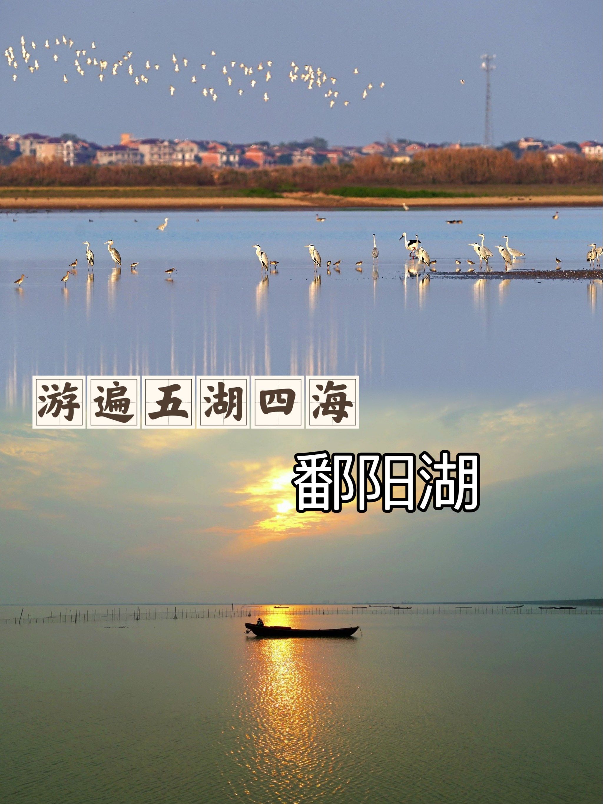 作为鄱阳湖的核心景区,这里拥有广阔的湿地