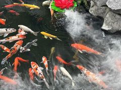 -西林禅寺