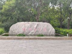 -杨柳青庄园