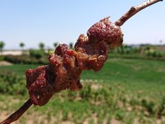 -丹世红酒庄·烧烤·团建·婚礼·水上运动