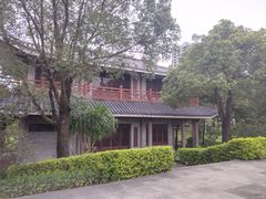-大亚湾红树林城市湿地公园
