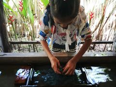 -大象粑粑造纸公园
