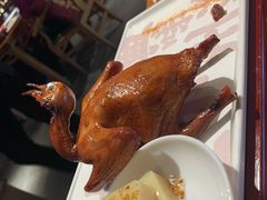 红烧乳鸽-大鸽饭(北京路店)