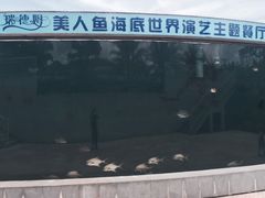 -瑞德姆美人鱼海底演艺主题餐厅(亚龙湾店)