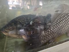 -胡子饮食店