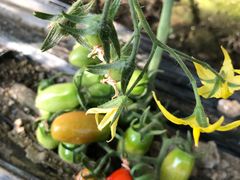 -云龙洗浴商务酒店