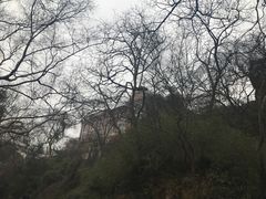 -上海佘山国家森林公园西佘山园