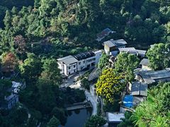 -南山植物园