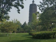 -西海子公园