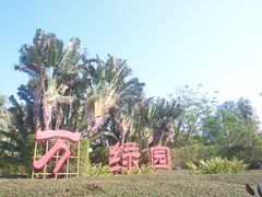 -万绿园
