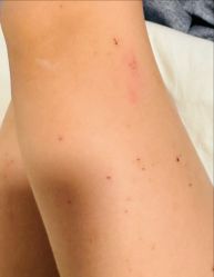 -首都儿科研究所附属儿童医院