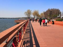 -丁香湖公园
