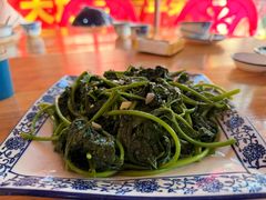 清炒地瓜叶-黄记四更烤乳猪店